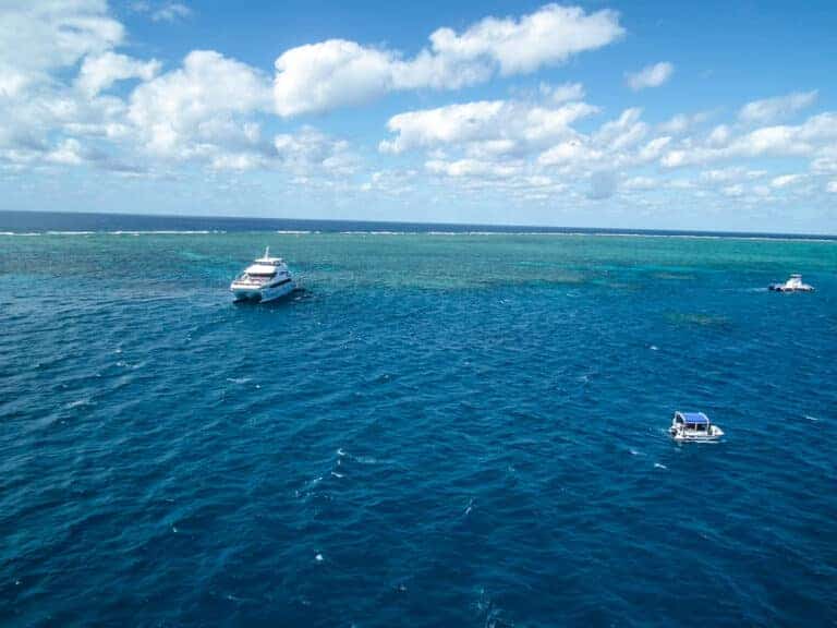 Under the Coral Sea: Snorkelling at the Great Barrier Reef