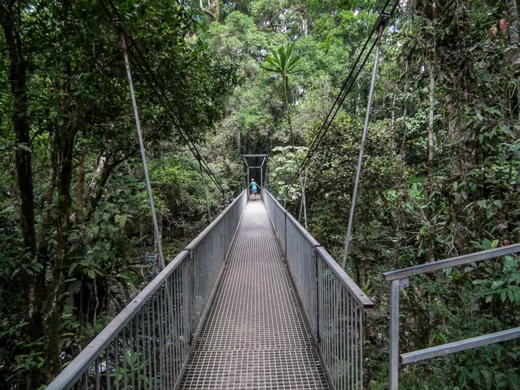 mossman-gorge-bridge-queensland